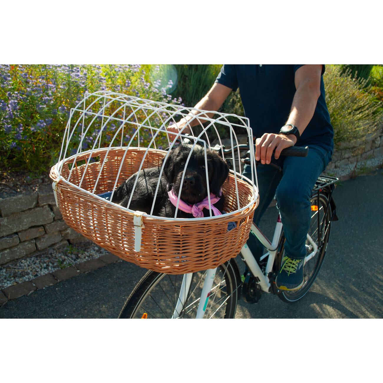 fahrradsattel regenschutz kaufen Hock 