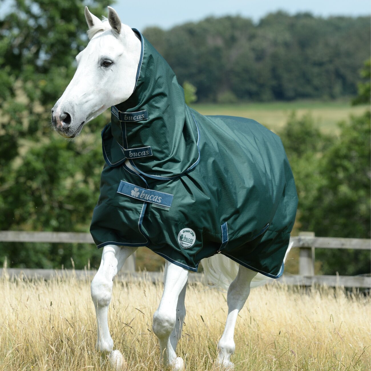 Green Line Turnout Regendecke von Bucas günstig bestellen tiierisch.de