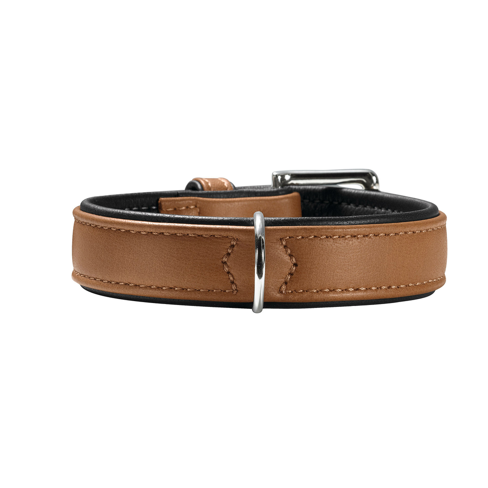 Dog Collars Australia Online Dog Collars Australia Online