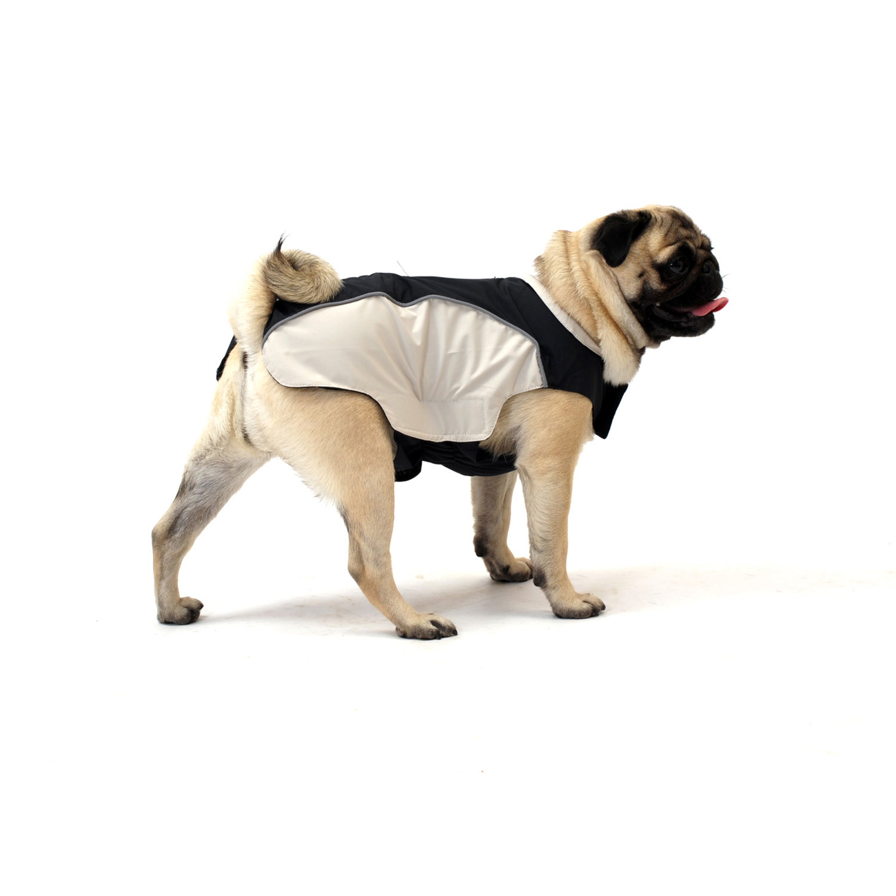 Wolters Regenjacke Easy Rain Für Dackel - Wasserdicht & Reflektierend