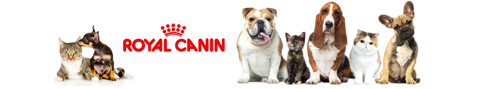 Royal Canin Tiernahrung Onlineshop