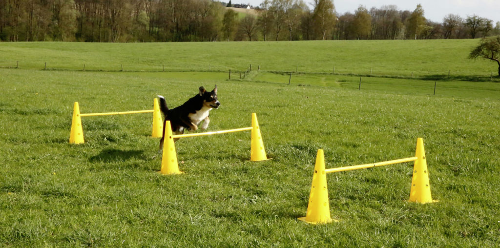 KERBL Agility Pylonen-Hürden Set